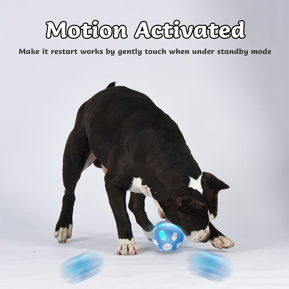 Smart Electric Dog Cat Toy Smart Ball Tease Cat Tease Small Dog